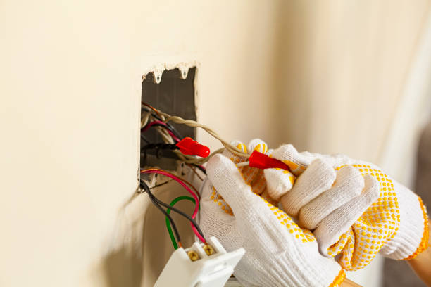 Best Surge Protection Installation  in Hurlock, MD